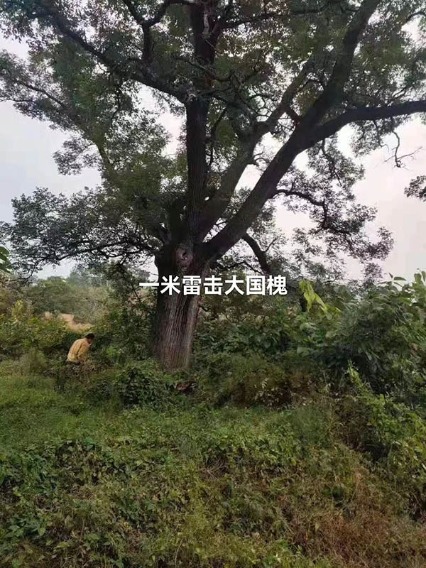 戳我试试