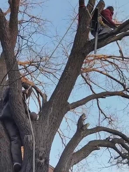 戳我试试