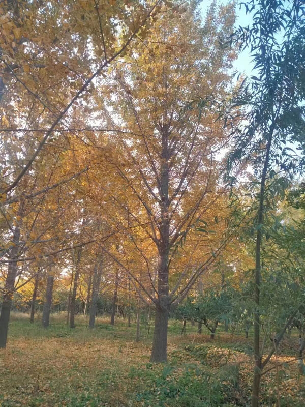 戳我试试